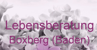 Lebensberatung Boxberg (Baden) | Top-Experten für Kartenlegen, Wahrsagen, Hellsehen, Zukunftsdeutung.